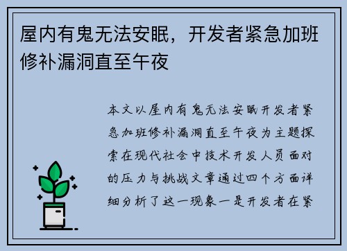 屋内有鬼无法安眠，开发者紧急加班修补漏洞直至午夜